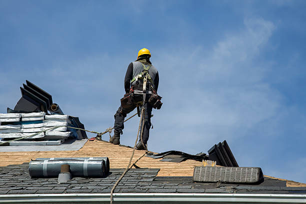 Professional Roof Replacement technician working in Sycamore, PA
